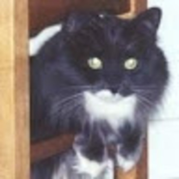 Meet your Posher, Cathy - Picture 1 of 1